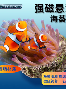 VASTOCEAN培菌悬浮海葵巢