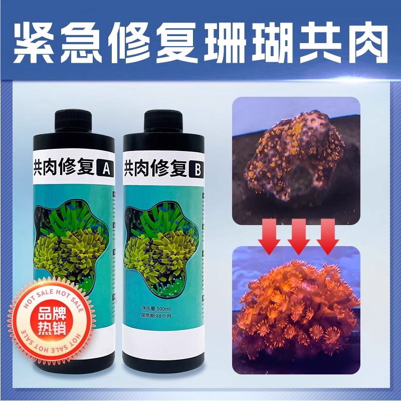 珊瑚细菌感染修复共生肉