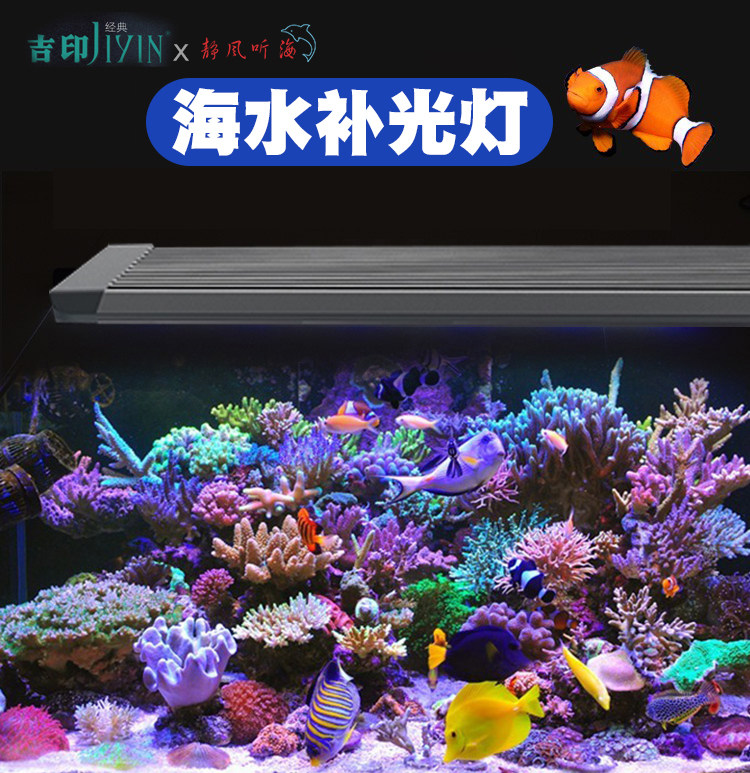 静风听海吉印合作款 专业海水补光灯海缸珊瑚缸fot蓝色促发色  全