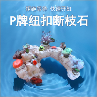 P牌成品造景石海缸珊瑚缸培菌石免爆藻纽扣断枝座纽扣珊瑚底座