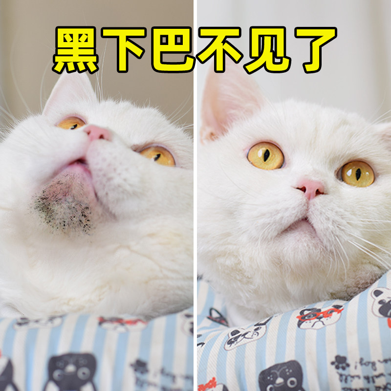 宠物猫咪梳嘴毛排去跳蚤黑下巴猫毛囊炎清洁刷狗狗长密齿面钢梳子