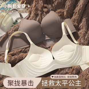 爆款 2023新款 胸罩 收副乳防下垂文胸套装 外扩内衣女聚拢小胸秋冬季