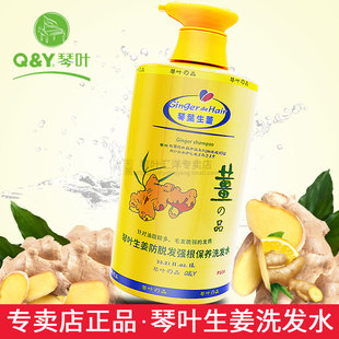 防掉發(fā)去屑滋潤(rùn)正品 琴葉生姜洗發(fā)水側(cè)伯葉保濕 防脫發(fā)老姜汁洗頭水