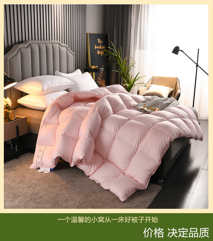 羽绒被空调被春秋被羽绒四季被全棉加厚冬季被芯轻奢被子