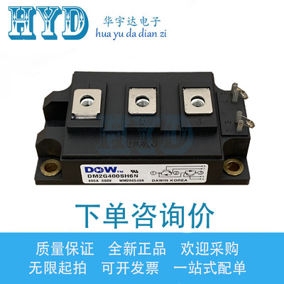DM2G400SH6N  DM2G400SH6A DM2G200SH6N DM2G300SH6N 模块