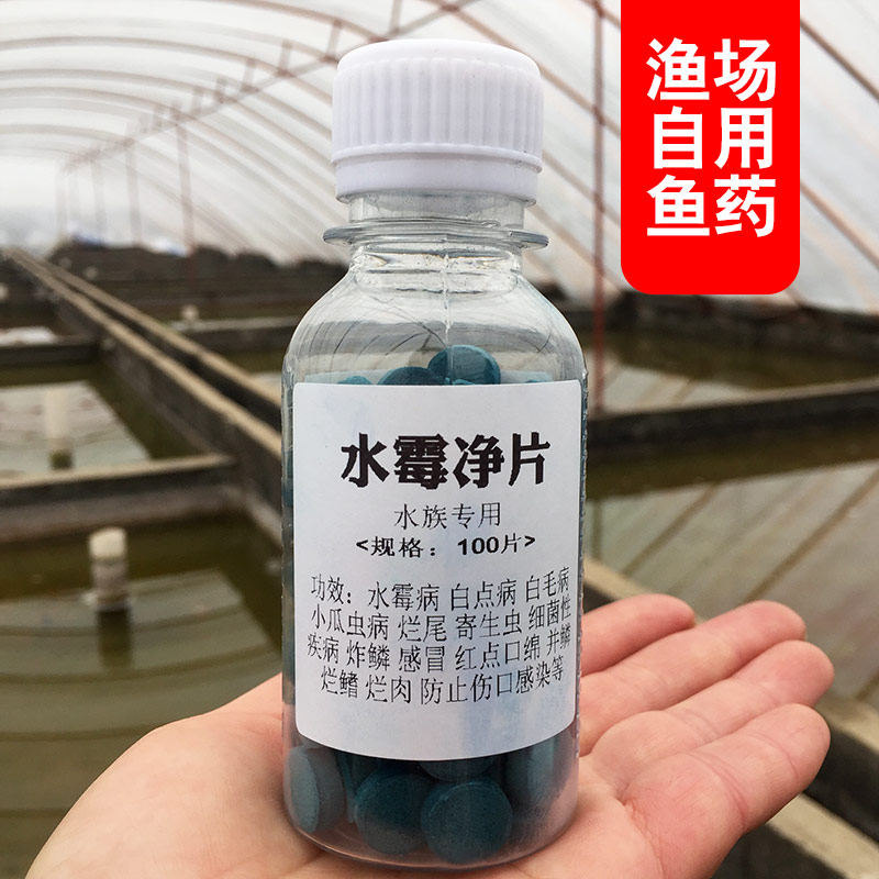 水霉净片观赏鱼鱼药锦鲤金鱼白点病治疗霉菌长白毛鱼缸水族专用药