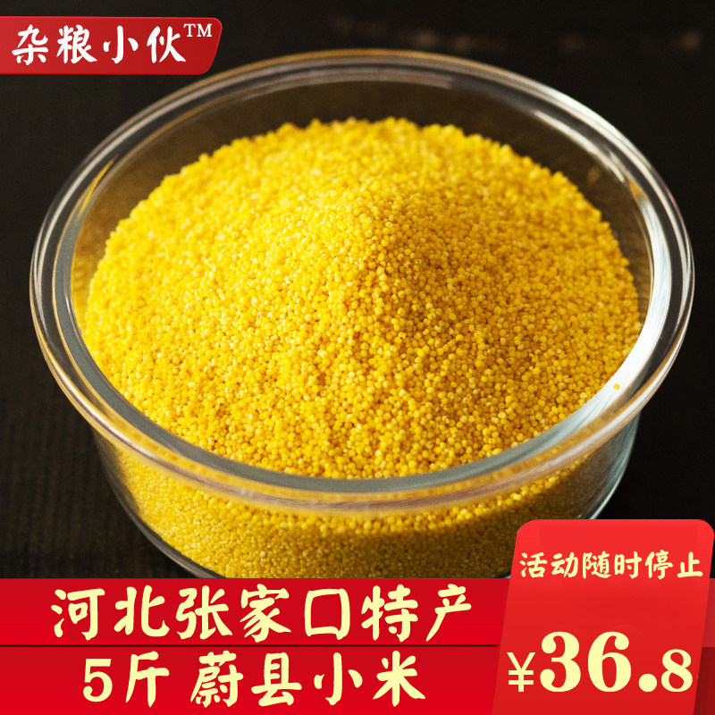 新米河北张家口特产蔚县花农家黄小米小黄米新米蔚州小米粥5斤