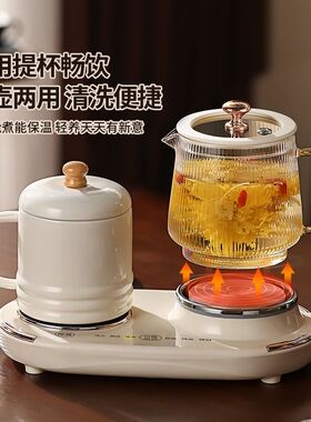 养生杯电热杯全玻璃恒温双杯