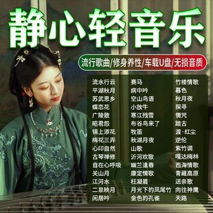 轻音乐汽车载u盘流行歌曲古筝萨克斯钢琴曲无损纯音乐车用优盘MP3