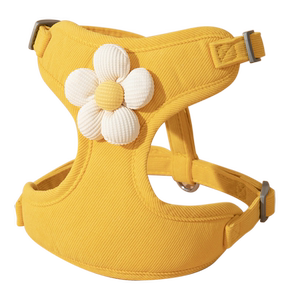 小狗狗牵引绳背心式小型犬比熊泰迪的胸背带幼犬遛狗绳宠物狗链子