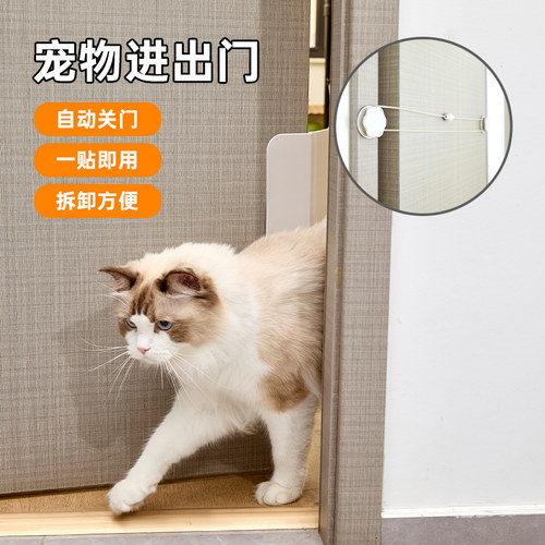 猫狗猫门猫咪自由出入门双向开门