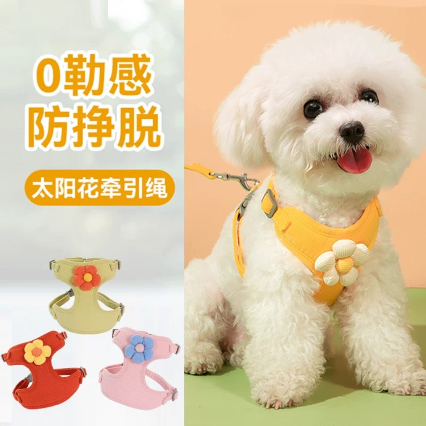 小狗狗牵引绳夏日出行小型犬专用图片
