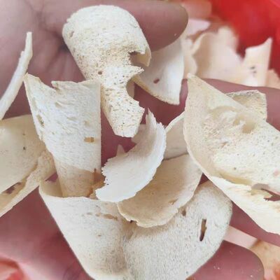 羚羊骨羚羊角刨片精选羚羊骨塞片