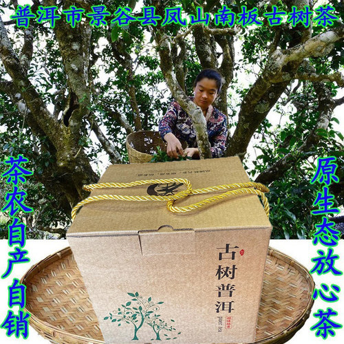 云南普洱茶生态古树茶南板老树茶