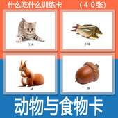 什么吃什么动物与食物住在哪儿训练卡片唐宝宝自闭症儿童教材教具