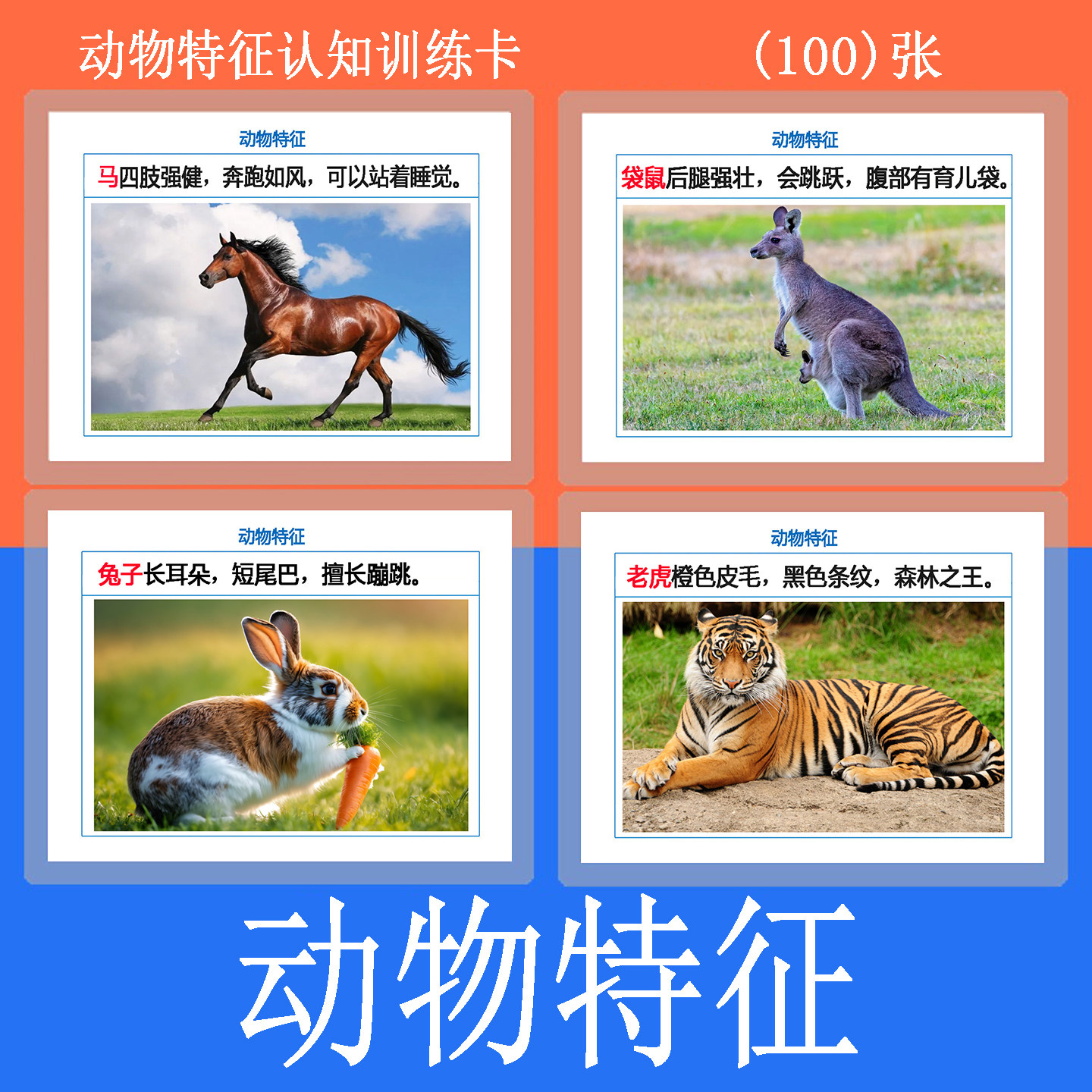 儿童认知动物特征卡康复训练教具