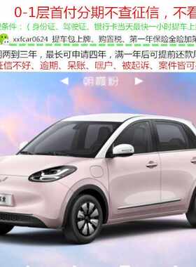 五菱缤果PULS/新车整车/汽车轿车/黑户0首付分期天猫汽车以租代购