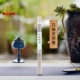 志朴香堂 百年檀香线香10克香道盘香香薰品茗禅定瑜伽