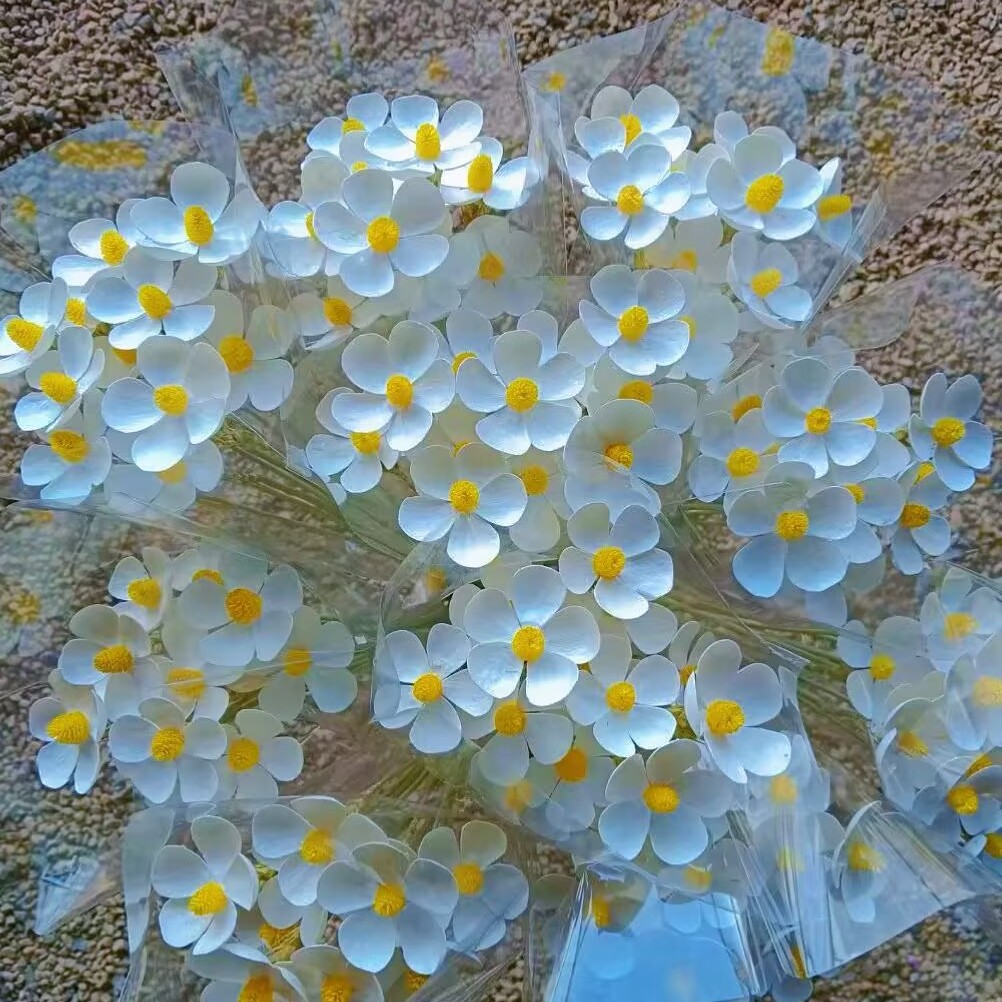 云南干花永生花紫罗兰花束