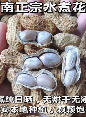 25年新惠安水煮花生晒干原味日晒咸干花生水煮晒干白晒花生不上火