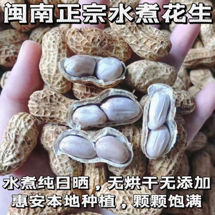 25年新惠安水煮花生晒干原味日晒咸干花生水煮晒干白晒花生不上火