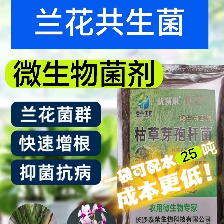 兰花专用微生物菌EM兰菌促花君子兰营养液菌种蝴蝶兰建兰墨兰石斛