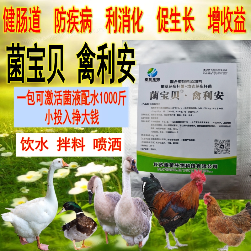 菌宝贝添加剂促进生长鸡用益生菌