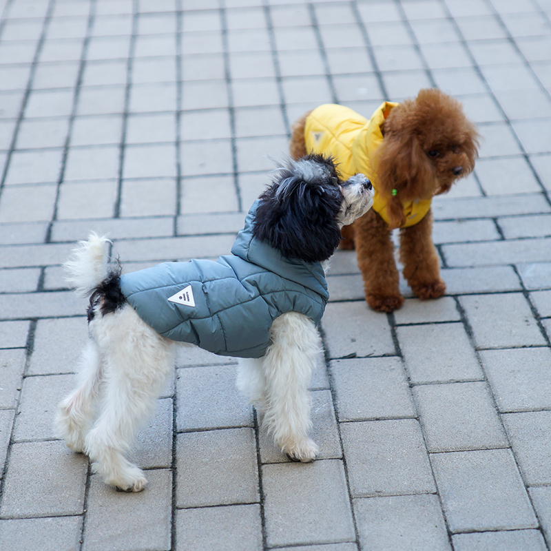 特价清仓不退换丑丑宠物狗衣服泰迪小型犬比熊棉服连帽丝绵马甲-封面