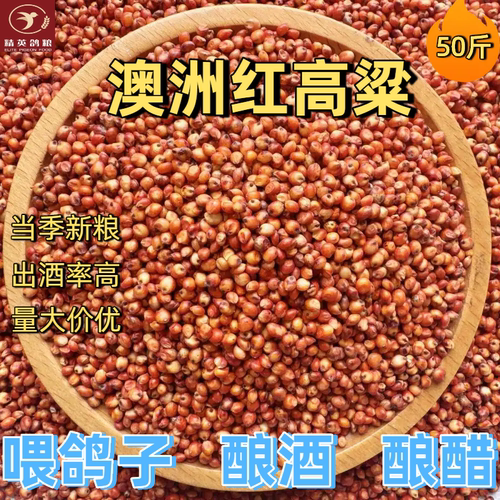 澳洲进口红高粱喂鸽子酿酒50斤