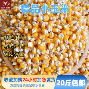 2025年新玉米粒精选小中颗粒鸽粮喂鸽子专用20斤包邮