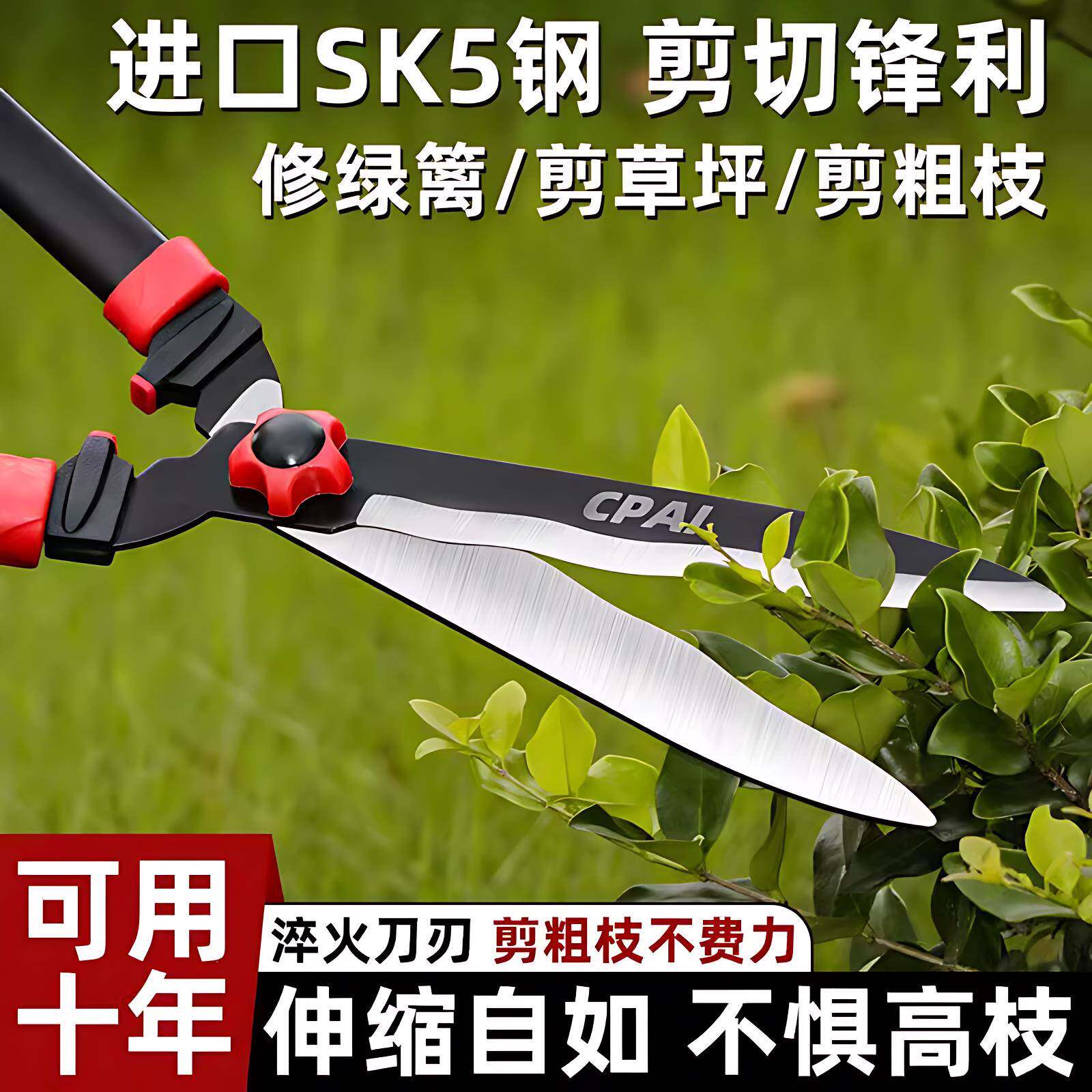 园艺剪刀果树修花剪园林修枝剪修剪草坪专用绿篱剪树枝修剪强力剪