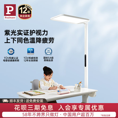 德国柏曼骑士护眼大路灯