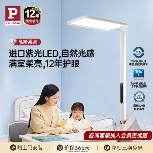德国柏曼骑士护眼大路灯