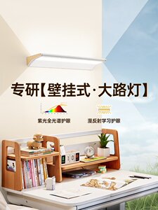 德国柏曼全光谱书房护眼阅读壁灯 学生儿童房学习灯壁挂式大路灯