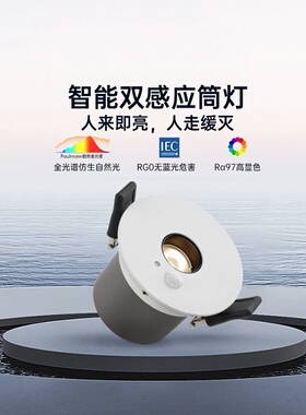 德国柏曼人体感应筒灯 led嵌入式护眼射灯 入户玄关过道无主灯具