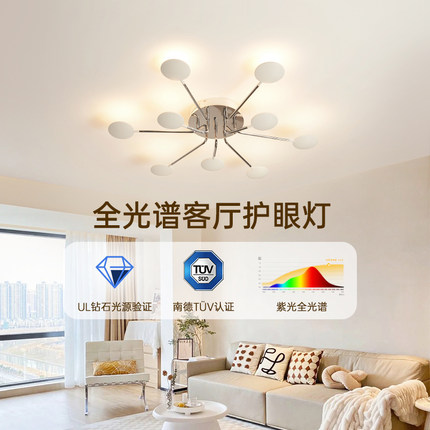 【补贴15%】德国柏曼护眼客厅吸顶灯大气主灯现代简约智能led灯具