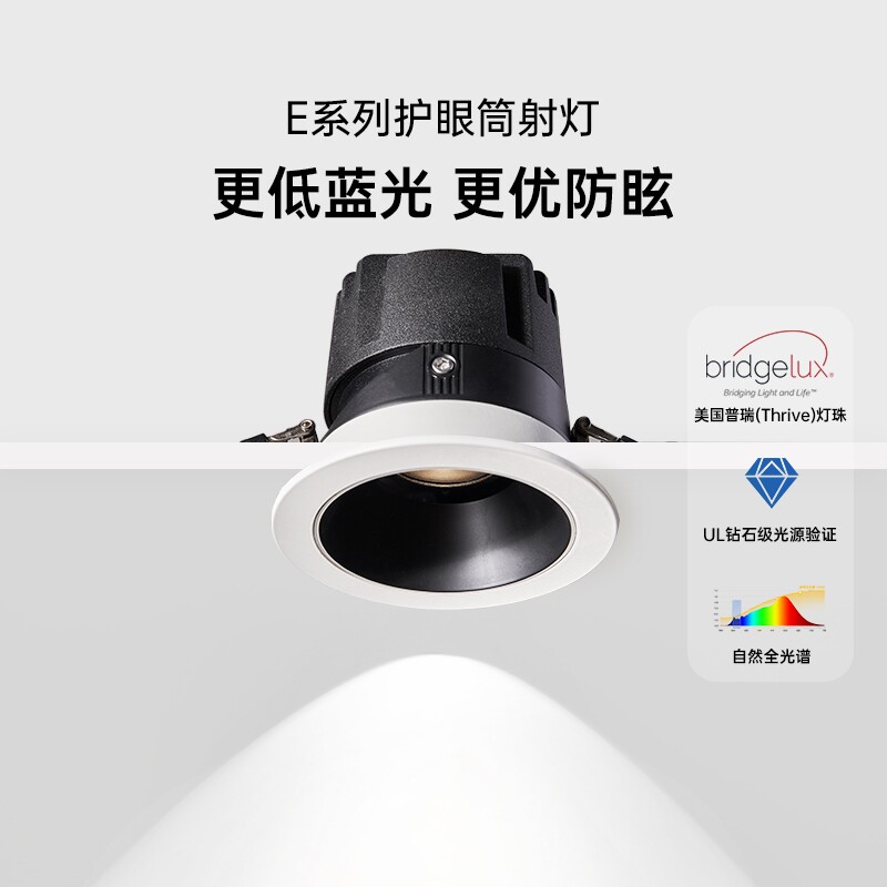 德国柏曼E系防眩护眼筒灯射灯图片