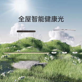 德国柏曼漫反射客厅卧室吸顶灯护眼餐厅吊灯智能套餐组合全屋灯具