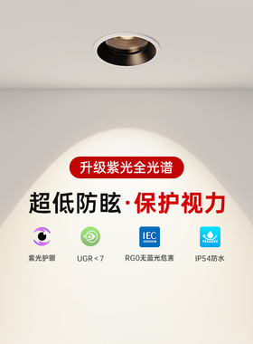 德国柏曼隐者筒灯黑杯全光谱深防眩射灯小山丘护眼客厅嵌入式灯具