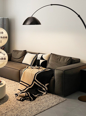 德国柏曼全光谱落地灯客厅沙发旁边卧室钓鱼灯轻奢高级感新款灯具