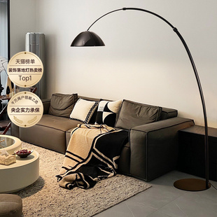 德国柏曼全光谱落地灯客厅沙发旁边卧室钓鱼灯轻奢高级感新款 灯具