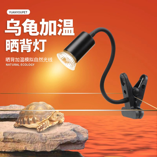 乌龟晒背灯加热保温灯uva+uvb太阳灯爬宠加热龟缸灯保温杀菌夹灯