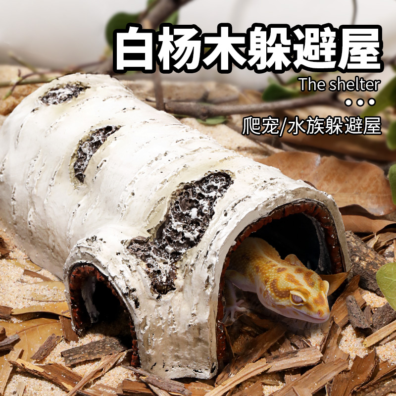 爬宠躲避洞穴乌龟晒台蜘蛛爬虫