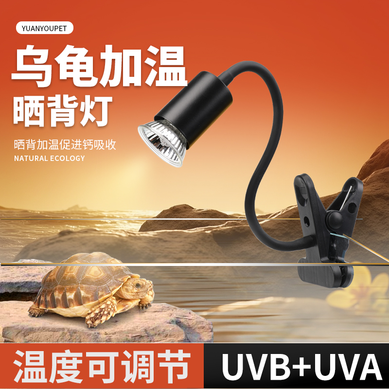 乌龟晒背灯加热保温灯杀菌