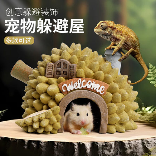 大冰洋爬宠躲避屋守宫蜥蜴蛇洞穴