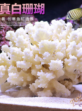 仿真假珊瑚装饰鱼缸造景