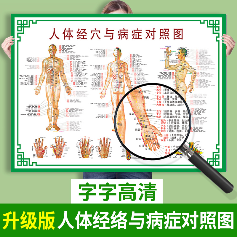 人体经络穴位图标准大挂图全身高清中医图解养生艾灸背部针灸按摩