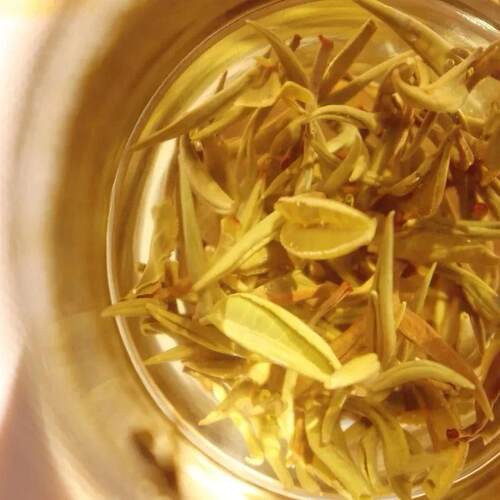 2026年银生高香黄茶/100克/袋/栗香黄茶