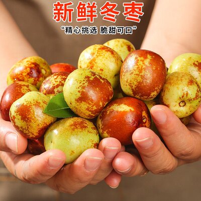 冬枣枣子新鲜水果当季甜脆