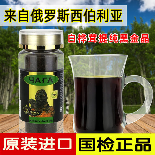 桦褐孔菌俄罗斯白桦茸